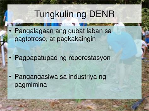 tungkulin ng denr